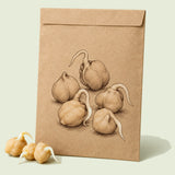 Kraft seed packet illustrated with Garbanzo Bean Sprouts, with fresh Garbanzo Bean Sprouts beside it