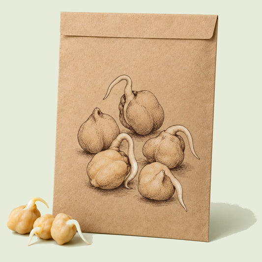 Kraft seed packet illustrated with Garbanzo Bean Sprouts, with fresh Garbanzo Bean Sprouts beside it