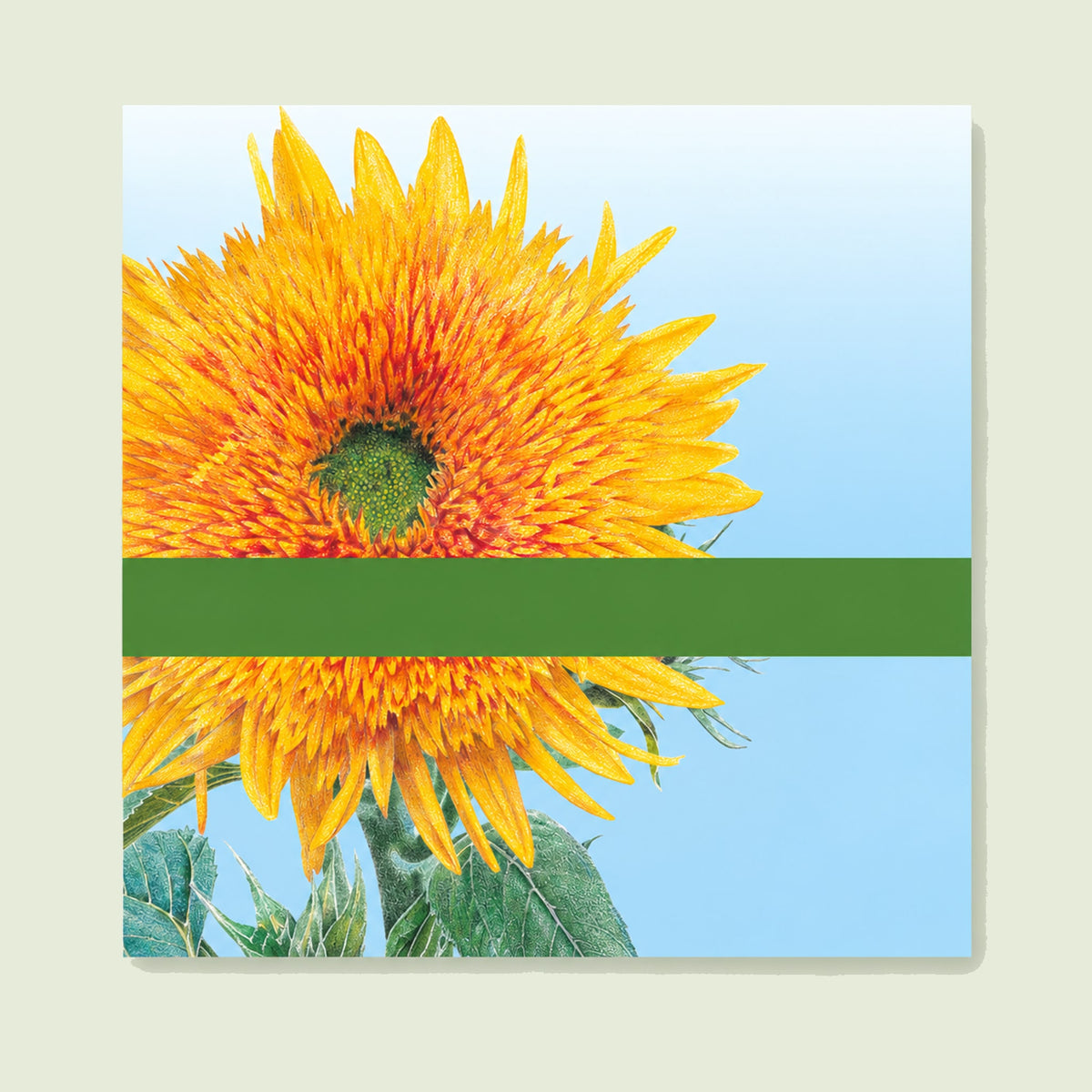 Garden Gift Certificate on a soft green background