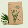 Kraft seed packet illustrated with Garlic Chives, with fresh Garlic Chives beside it