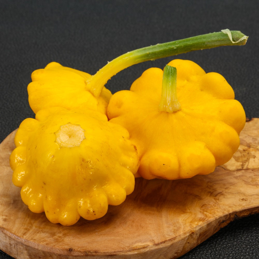 Gelber Englischer Patty Pan Squash seed packet