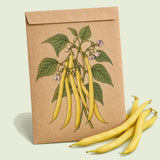 Kraft seed packet illustrated with Gold Rush Bush Bean, with fresh Gold Rush Bush Bean beside it