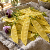 Golden Sweet Snow Pea Seeds harvest up close