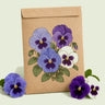 Kraft seed packet illustrated with Got the Blues Pansy, with fresh Got the Blues Pansy beside it