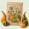 Kraft seed packet illustrated with Gourdgeous Blend Gourd, with fresh Gourdgeous Blend Gourd beside it