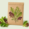 Kraft seed packet illustrated with Gourmet Baby Greens Lettuce Blend, with fresh Gourmet Baby Greens Lettuce Blend beside it