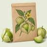 Kraft seed packet illustrated with Grande Rio Verde Tomatillo, with fresh Grande Rio Verde Tomatillo beside it