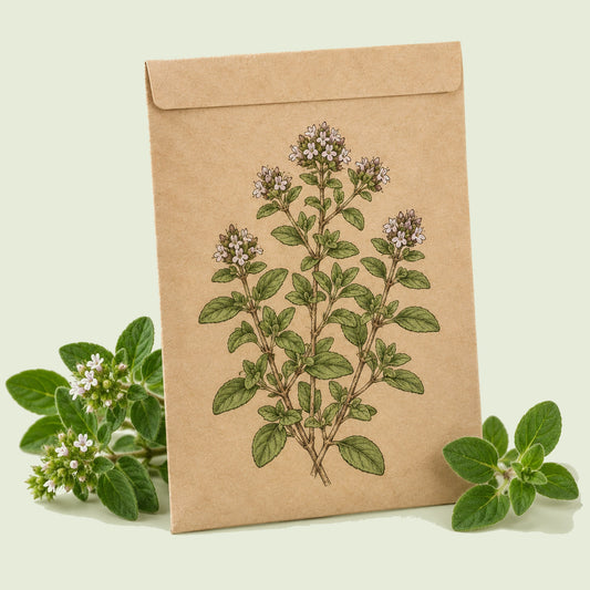 Kraft seed packet illustrated with Greek Oregano Culinary Herb, with fresh Greek Oregano Culinary Herb beside it