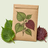 Kraft seed packet illustrated with Green and Red Shiso Perilla, with fresh Green and Red Shiso Perilla beside it