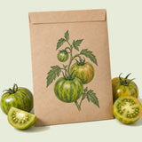 Kraft seed packet illustrated with Green Zebra Striped Tomato, with fresh Green Zebra Striped Tomato beside it