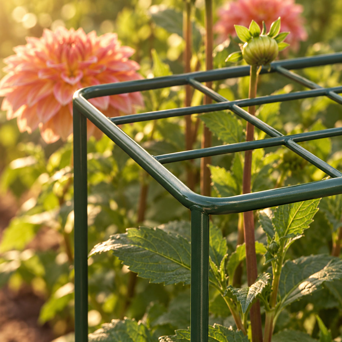 Grid Grow-Through Plant Supports, 4 Pack detail