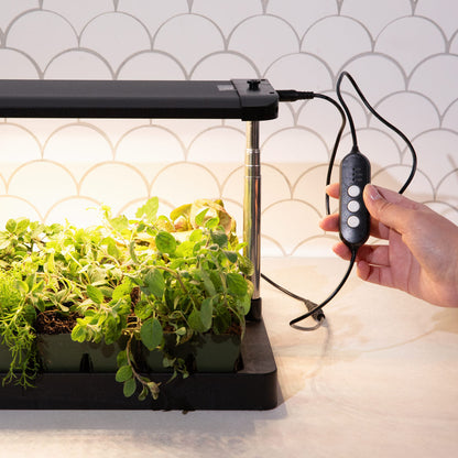 Countertop Grow Light With Tray