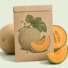 Kraft seed packet illustrated with Hales Best Jumbo Cantaloupe, with fresh Hales Best Jumbo Cantaloupe beside it