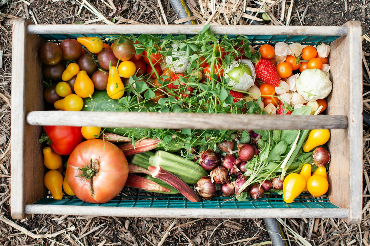 Wooden trug filled with tomatoes, okra, shallots and greens