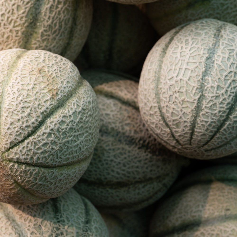 Seed packet for hearts of gold heirloom cantaloupe seeds