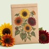 Kraft seed packet illustrated with Heirloom Beauties Sunflower, with fresh Heirloom Beauties Sunflower beside it