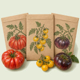 Kraft seed packet illustrated with Heirloom Tomato Seed Bundle, with fresh Heirloom Tomato Seed Bundle beside it