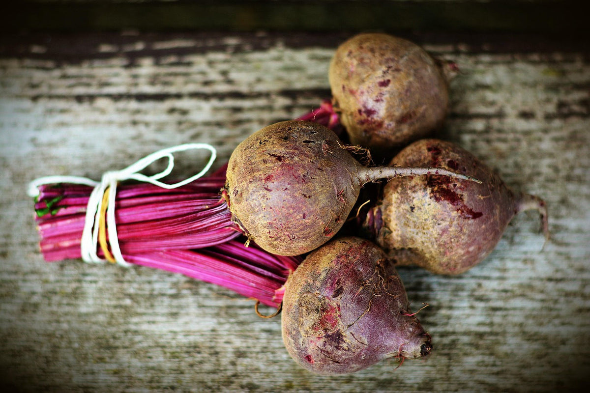 Northeast Garden Seed Bundle: beet harvest