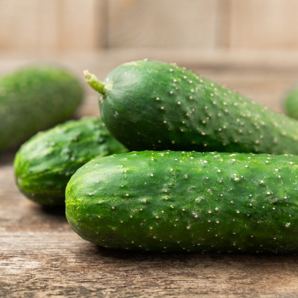 Seed packet for hokus gherkin pickling cucumber seeds