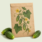 Kraft seed packet illustrated with Hokus Gherkin Pickling Cucumber, with fresh Hokus Gherkin Pickling Cucumber beside it