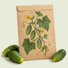 Kraft seed packet illustrated with Hokus Gherkin Pickling Cucumber, with fresh Hokus Gherkin Pickling Cucumber beside it