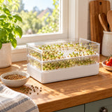 Home Sprouting Gift Set in use in a home garden