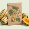 Kraft seed packet illustrated with Honey Boat Delicata Winter Squash, with fresh Honey Boat Delicata Winter Squash beside it
