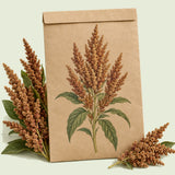 Kraft seed packet illustrated with Hot Biscuits Caramel Amaranth, with fresh Hot Biscuits Caramel Amaranth beside it