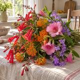 Hummingbird Flower Mix Seeds harvest up close