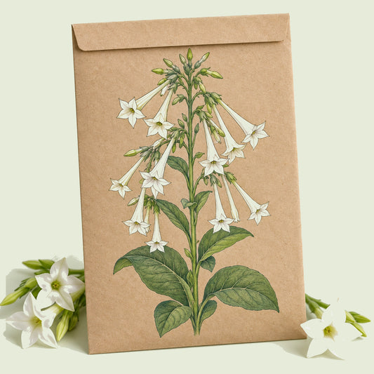 Kraft seed packet illustrated with Indian Peace Pipe White Nicotiana, with fresh Indian Peace Pipe White Nicotiana beside it