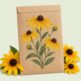 Kraft seed packet illustrated with Indian Summer Black Eyed Susan, with fresh Indian Summer Black Eyed Susan beside it