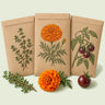 Kraft seed packet illustrated with Intermountain Garden Seed Bundle, with fresh Intermountain Garden Seed Bundle beside it