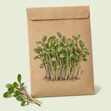 Kraft seed packet illustrated with Italian Amaro Chicory Microgreens, with fresh Italian Amaro Chicory Microgreens beside it