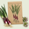Kraft seed packet illustrated with Italian Red of Florence Scallion, with fresh Italian Red of Florence Scallion beside it
