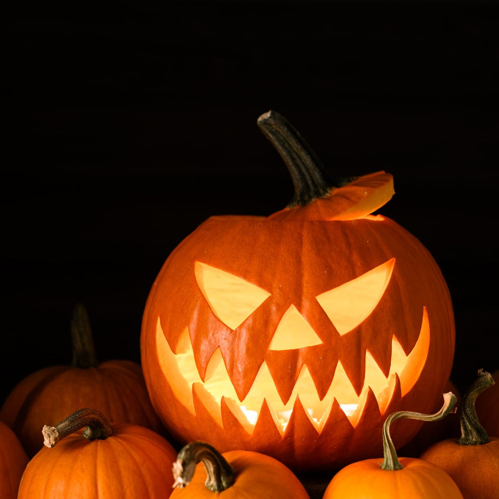 Seed packet for jack o lantern carving pumpkin seeds