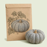 Kraft seed packet illustrated with Jarrahdale Blue Gray Pumpkin, with fresh Jarrahdale Blue Gray Pumpkin beside it