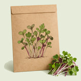 Kraft seed packet illustrated with Jazzy Microgreens Seed Mix, with fresh Jazzy Microgreens Seed Mix beside it