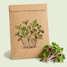 Kraft seed packet illustrated with Jazzy Microgreens Seed Mix, with fresh Jazzy Microgreens Seed Mix beside it