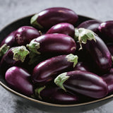 Product image of jewel amethyst eggplant seeds