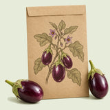 Kraft seed packet illustrated with Jewel Amethyst Eggplant, with fresh Jewel Amethyst Eggplant beside it