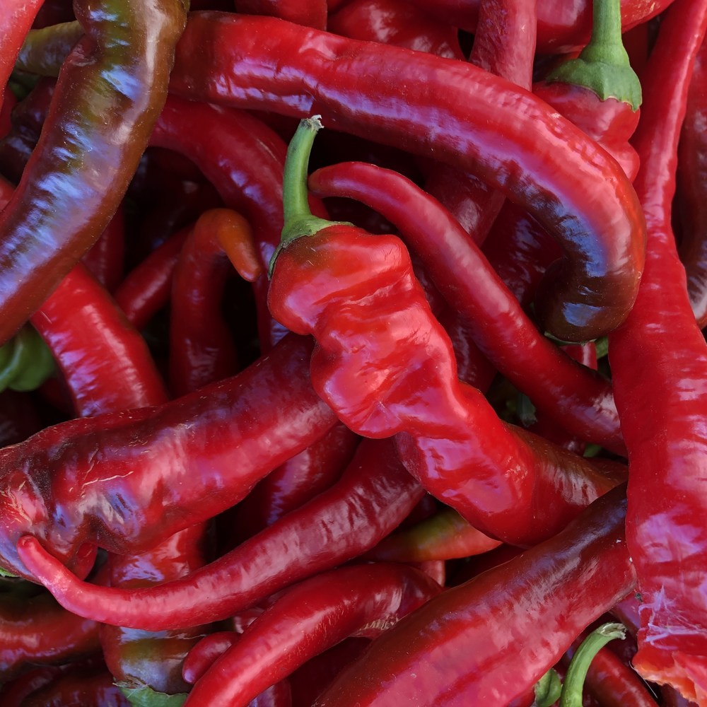 Seed packet for jimmy nardello sweet frying pepper seeds