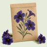 Kraft seed packet illustrated with Kew Blue Salpiglossis, with fresh Kew Blue Salpiglossis beside it