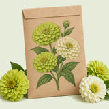 Kraft seed packet illustrated with Key Lime Zinnia Blend, with fresh Key Lime Zinnia Blend beside it