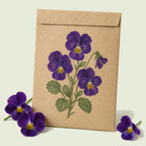 Kraft seed packet illustrated with King Henry Purple Viola, with fresh King Henry Purple Viola beside it