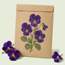 Kraft seed packet illustrated with King Henry Purple Viola, with fresh King Henry Purple Viola beside it