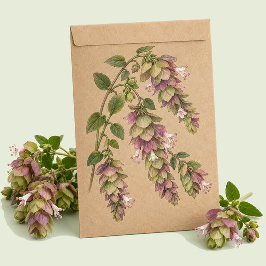 Kraft seed packet illustrated with Kirigami Ornamental Oregano, with fresh Kirigami Ornamental Oregano beside it