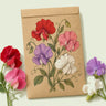 Kraft seed packet illustrated with Knee Hi Sweet Pea Flower Mix, with fresh Knee Hi Sweet Pea Flower Mix beside it