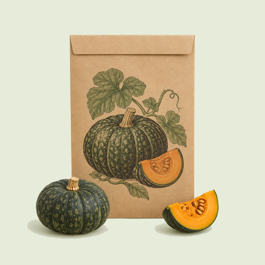 Kraft seed packet illustrated with Kurinishiki Kabocha Squash, with fresh Kurinishiki Kabocha Squash beside it