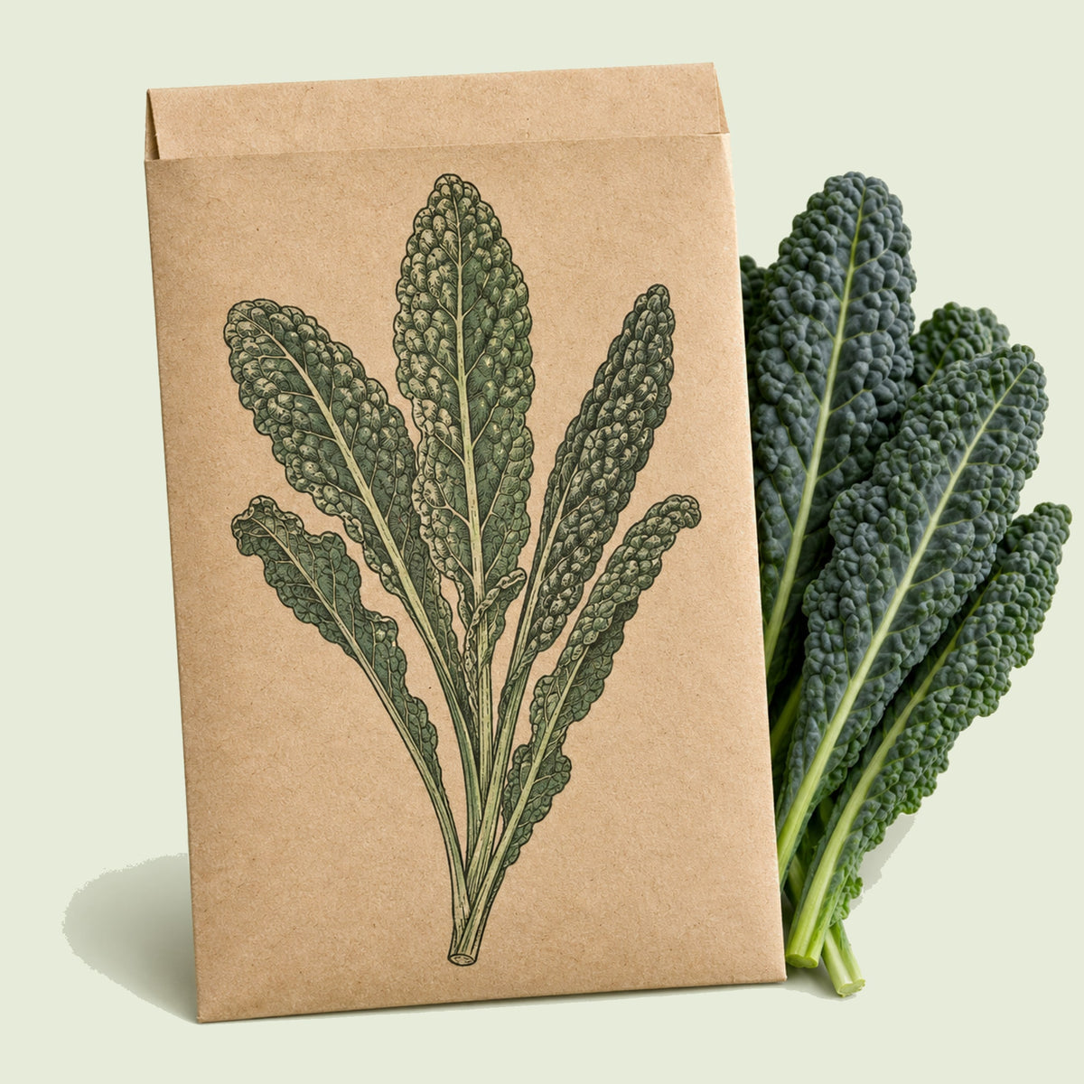 Kraft seed packet illustrated with Lacinato Dinosaur Kale, with fresh Lacinato Dinosaur Kale beside it