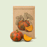 Kraft seed packet illustrated with Lakota Winter Squash, with fresh Lakota Winter Squash beside it